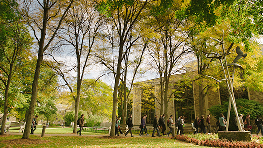 Campus de Houghton University