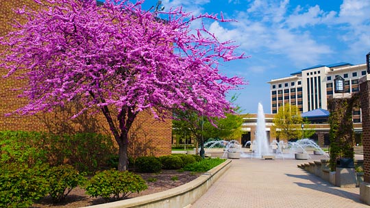 Campus de Indiana State University