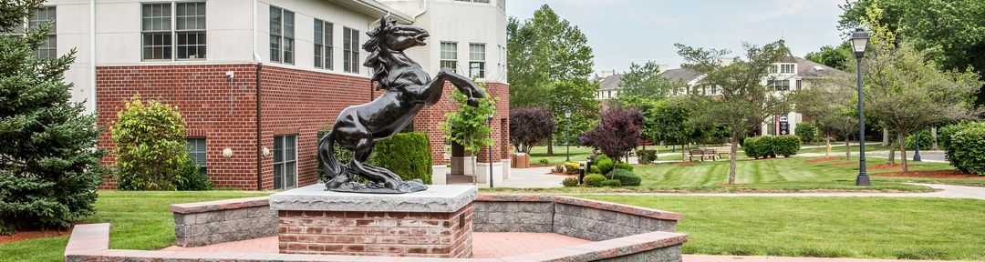 Campus de Dominican University New York