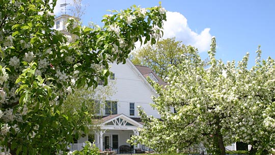 Campus de New England College