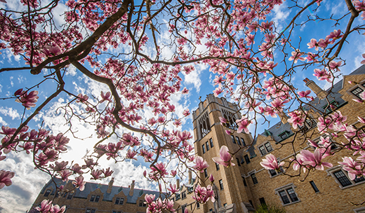 Campus de Saint Mary's College